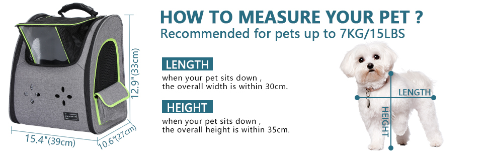 how to measure your dog