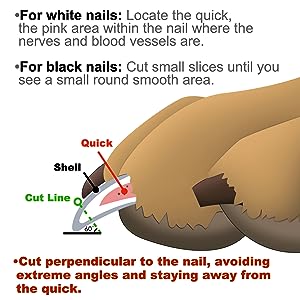 nail claw