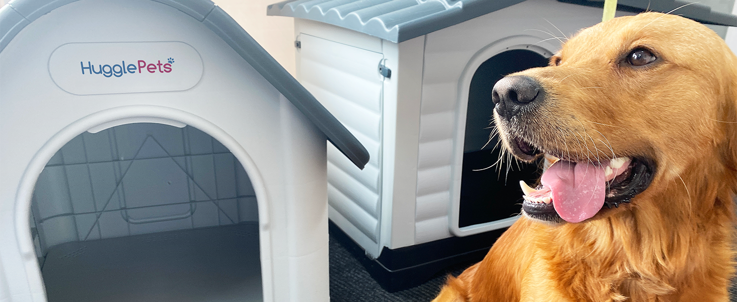 dog in front of hugglepets kennel