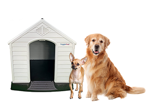 hugglepets kennel with chihuahua and golden retriever next to it