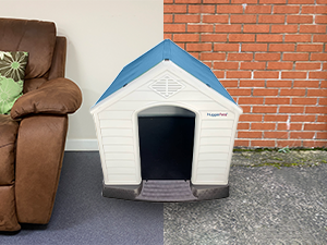 hugglepets kennel with indoor sofa backdrop and outdoor brick backdrop