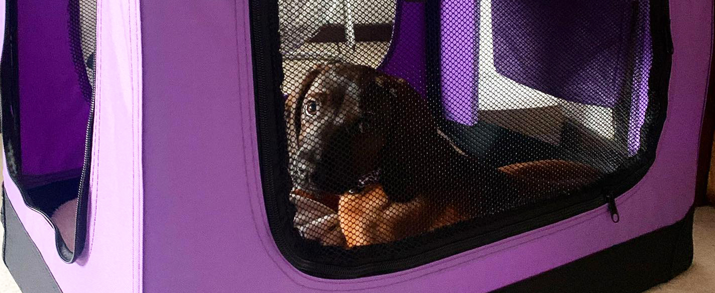 A brown dog in a HugglePets fabric crate, peering from behind the mesh window.