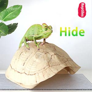 Hide  Cave