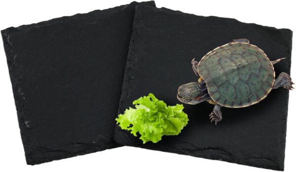 2pcs Tortoise Slate Reptile Basking Platform, 10x10cm Natural Square Slate Reptile Habitat Rock, Turtle Feeding Food Bowl Dish for Turtle Lizard Bearded Dragon Gecko Snake Landscape Habitat Decor