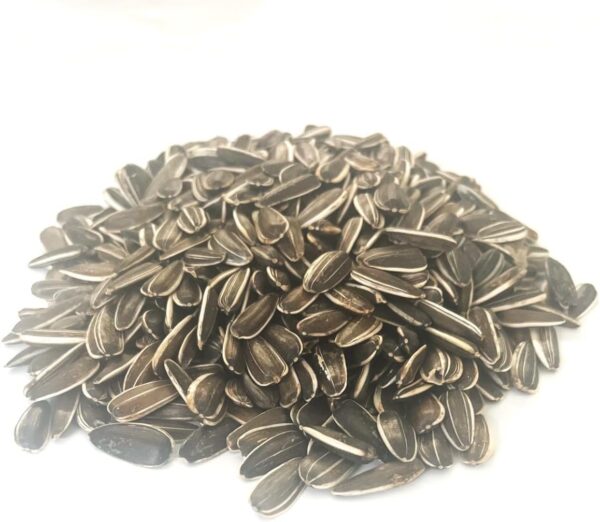 500g SMALL SUNFLOWER SEED MIXED CAGE BIRD FOOD SMDS