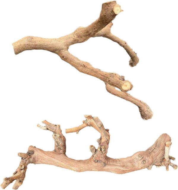 BNOSDM 2PCS Reptile Wood Branches Decor Lizard Habitat Decoration Snake Climbing Branch Accessories Terrarium Tree Trunk Ornament for Bearded Dragon Gecko Frog Chameleon Spider