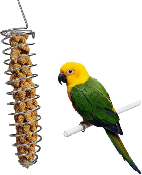 Bird Foraging Toy Feeder Parrot Treat Fruit Vegetable Seed Holder Feeder Food Basket Tool Stainless Steel Cage Accessories for African Grey Conure Parrots Cockatoo Parakeet Cockatiel