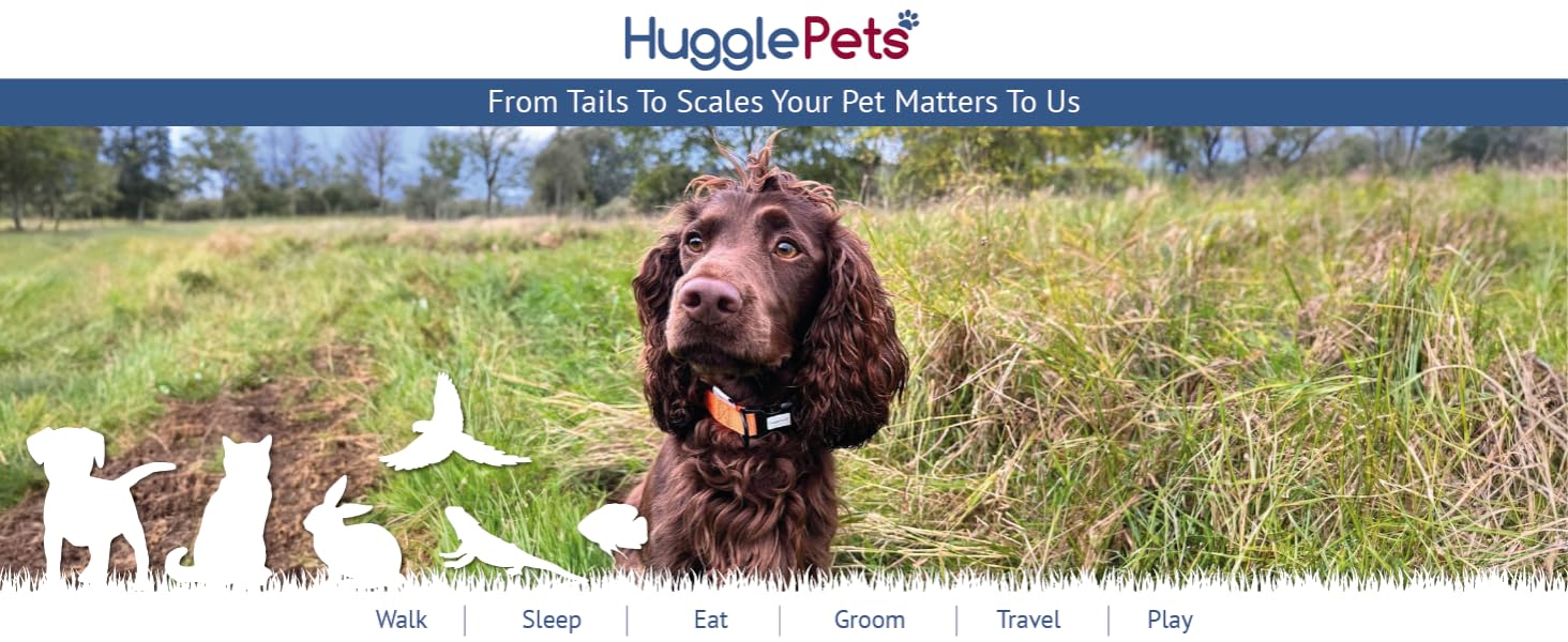 HugglePets Brand Banner