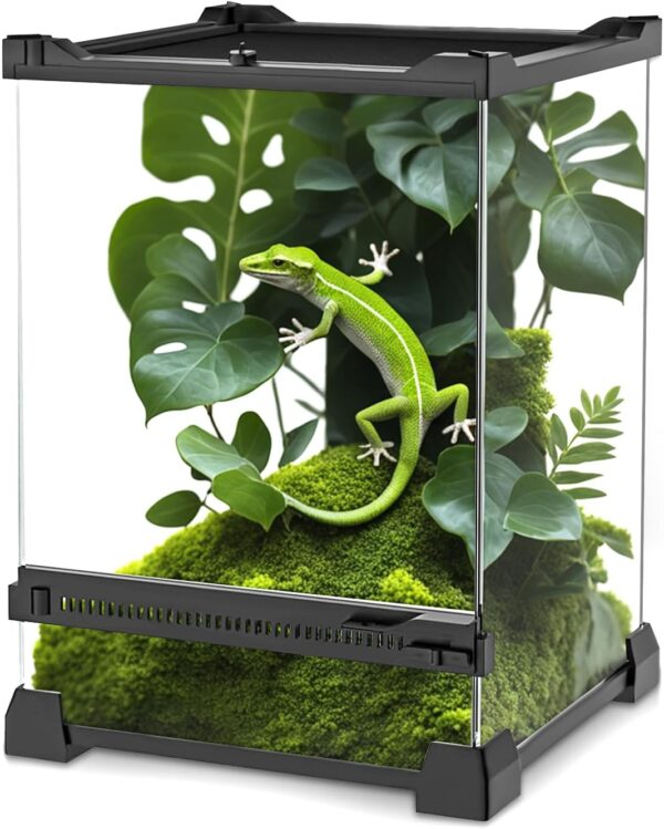 NEPTONION Mini Reptile Glass Terrarium 8"x8"x12" Durable Reptile Habitat Tank with Heat Resistant Aluminum Alloy Frame, Single Swinging Doors for no Jam by Sand and Other Debris