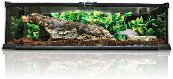 Swell Reptiles Glass Terrainium Kit 50cm x 30cm x 15cm. Ideal for Reptiles.