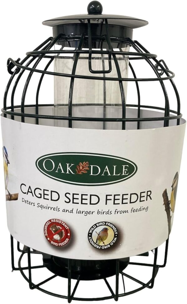 Oakdale Squirrel Resistant Seed Bird Feeder