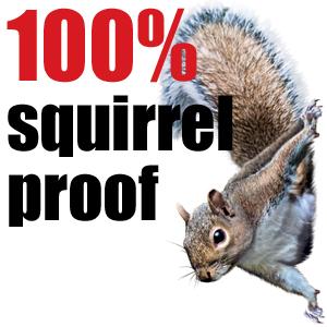 100% squirrel proof, bird feeders