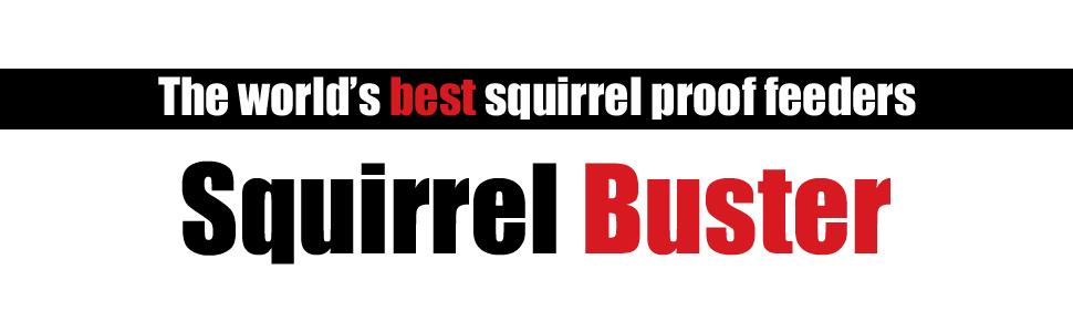 Squirrel Buster, squirrel proof bird feeders, bird feeders