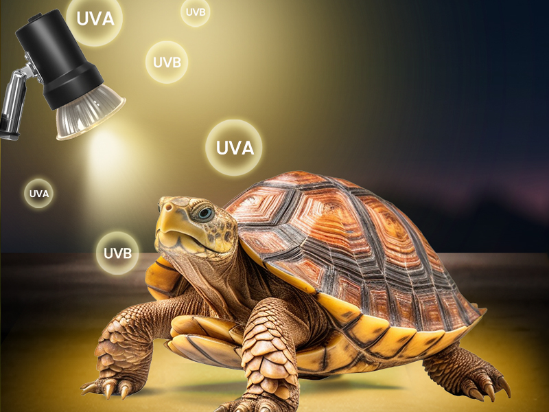 UVA UVB Bulb Tortoise 75W E27