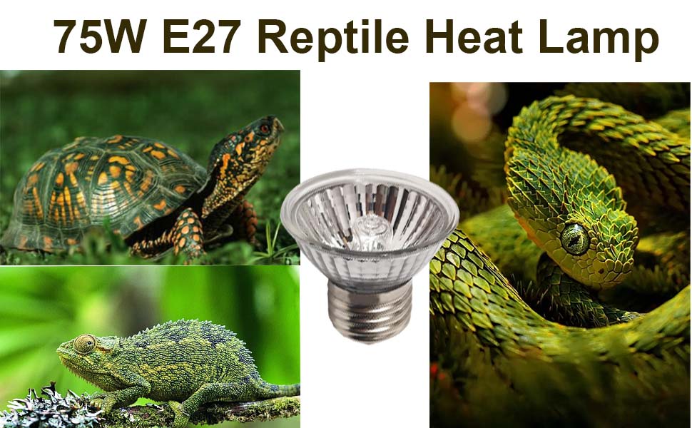 reptile heat lamp