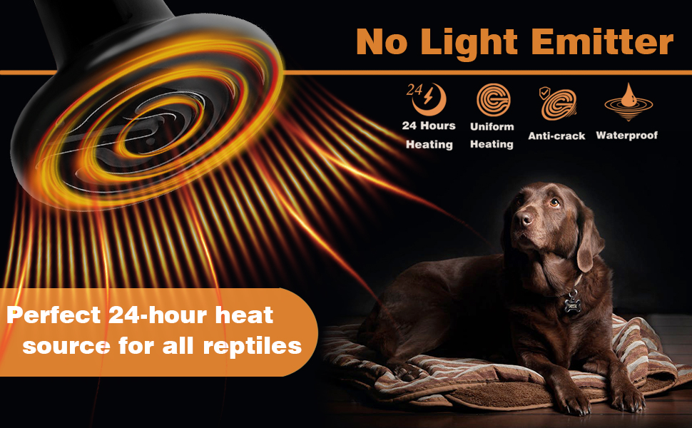 reptile heat bulb