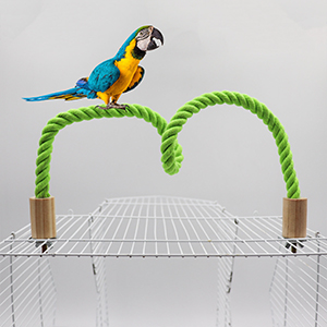 Bird Rope Perch Stand