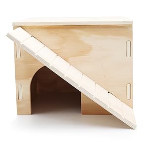 Large Bearded Dragon Hide Cave, Wooden Lizard Hideout with Climbing Ramp