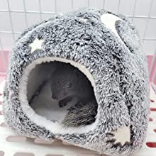 Guinea pig tunnel