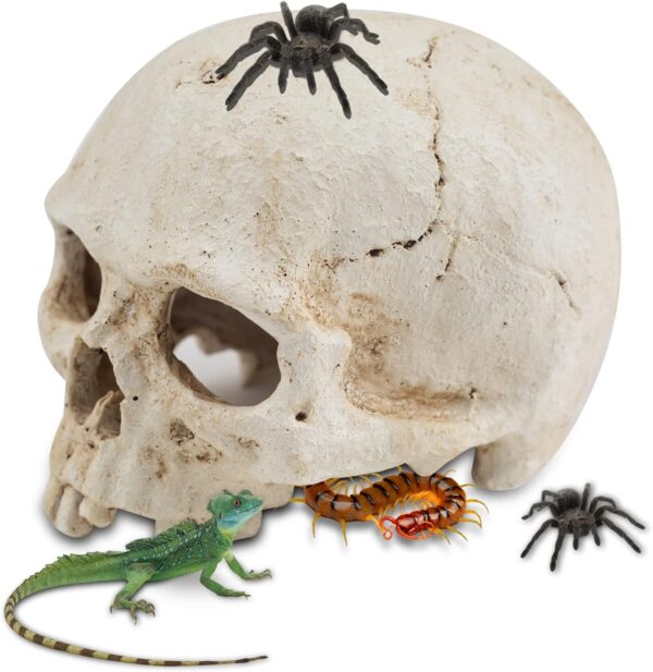 Aufeeky Halloween Human Skull Reptile Hide, White Reptile Hides and Caves for Ball Python Leopard Gecko Snake Bearded Dragon Lizard Fish Chameleon, Aquarium Cave for Tank Terrarium