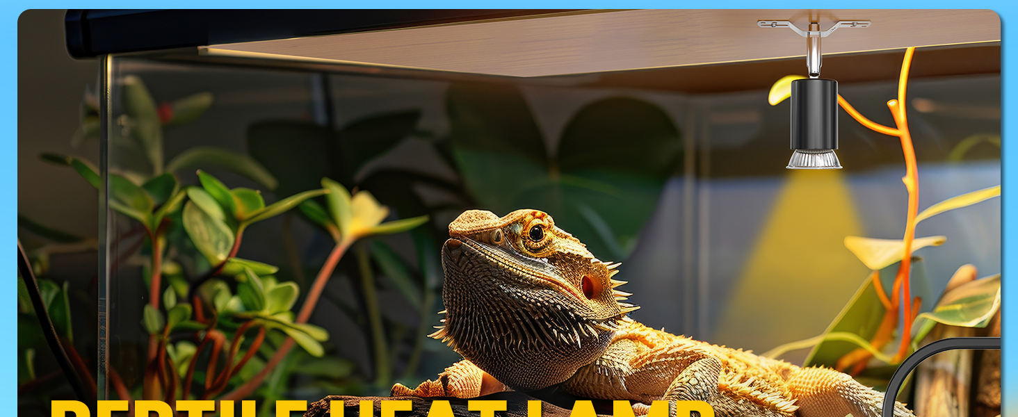 heat lamp for reptiles