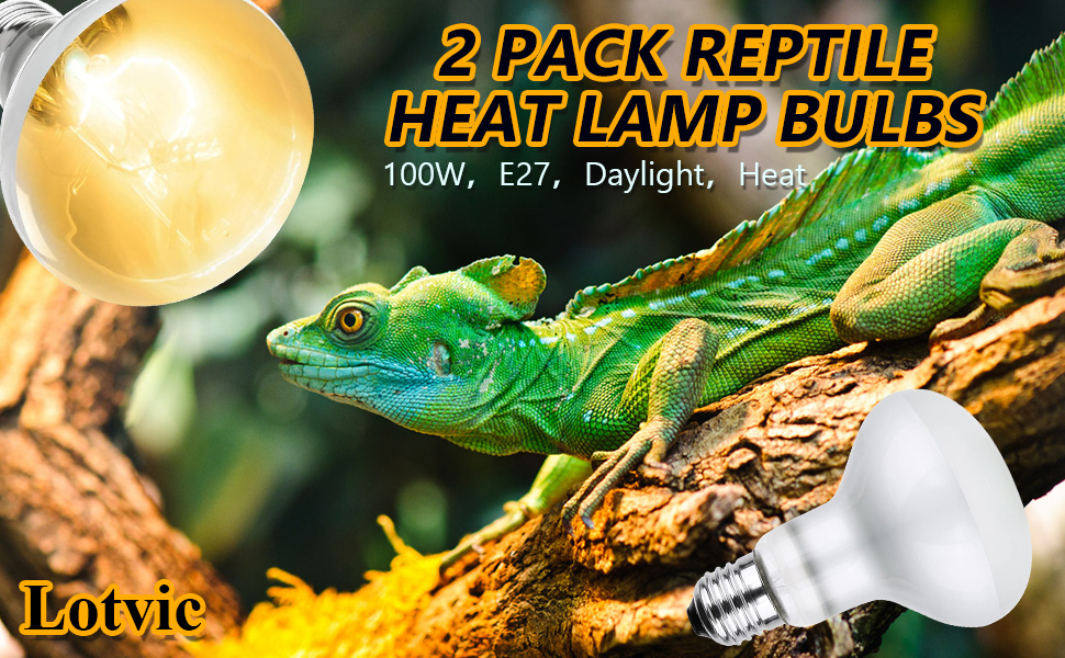 Reptile Heat Lamp