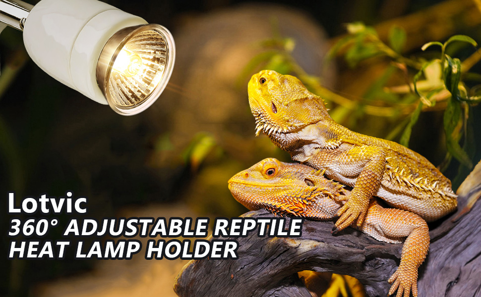 Reptile Heat Lamp Holder