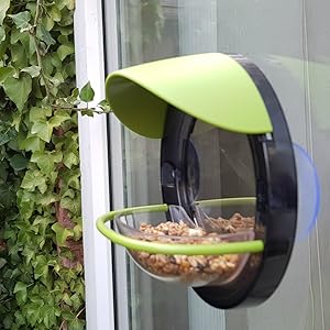 Bird Feeder