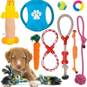 Fur & Bone 10 Pack Dog Chew Toys | Puppy Toys Dog Toys for Boredom | Indestructible Dog Toys with Rope Toys, Squeaky Toy | Dog Toy, Dog Teething Toys for Small & Medium Dogs | Dog