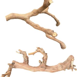 BNOSDM 2PCS Reptile Wood Branches Decor Lizard Habitat Decoration Snake Climbing Branch Accessories Terrarium Tree Trunk Ornament for Bearded Dragon Gecko Frog Chameleon Spider