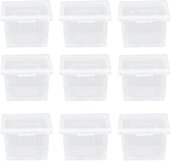 FRCOLOR 10pcs Box Reptile Feeding Box Plastic Terrarium Plastic Spiders Frog Terrarium Turtle Tank Terrarium Tank Frog Tank Reptiles Animal Reptile Supplies Hermit Crab Clamshell Dedicated