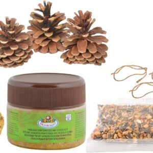 Fallen Fruits DIY Bird Food Pinecone