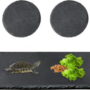 Goerpn 3 Pack Reptile Basking Slate Platform Aquarium Tortoise Bathing Resting Platform,Turtle Habitat Slate Pad Turtle Feeding Food Bowl Dish Resting Natural Rock Platform Accessories Decoration