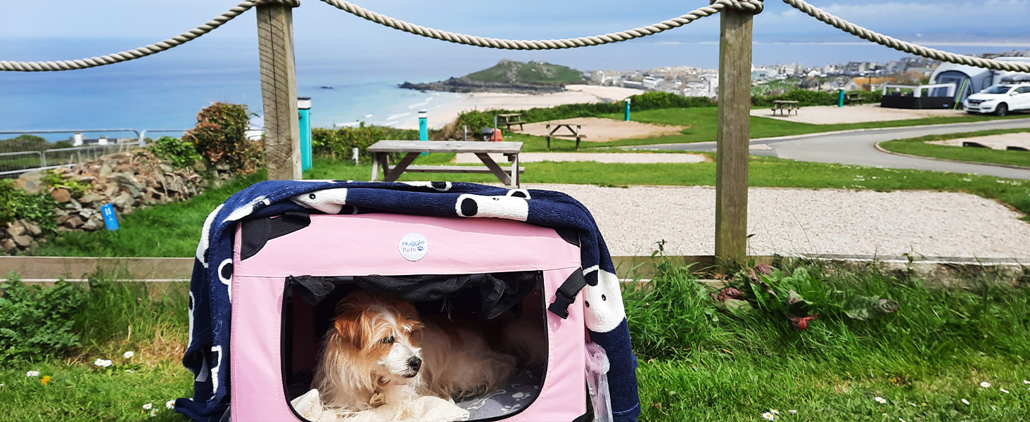 Dog in pink HugglePets fabric crate by a beach and some grass.