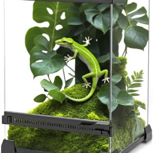 NEPTONION Mini Reptile Glass Terrarium 8"x8"x12" Durable Reptile Habitat Tank with Heat Resistant Aluminum Alloy Frame, Single Swinging Doors for no Jam by Sand and Other Debris