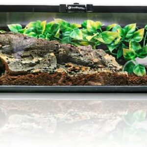 Swell Reptiles Glass Terrainium Kit 50cm x 30cm x 15cm. Ideal for Reptiles.