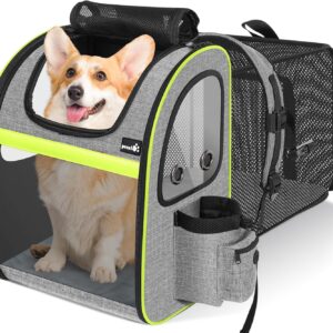 pecute Cat Carrier Dog Backpack Expandable Large, Portable Breathable Rucksack with Top Opening-Visible Acrylic-Pockets, Extendable Back More Space Great For Carrying Pets