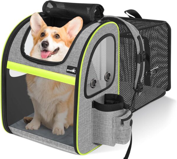 pecute Cat Carrier Dog Backpack Expandable Large, Portable Breathable Rucksack with Top Opening-Visible Acrylic-Pockets, Extendable Back More Space Great For Carrying Pets