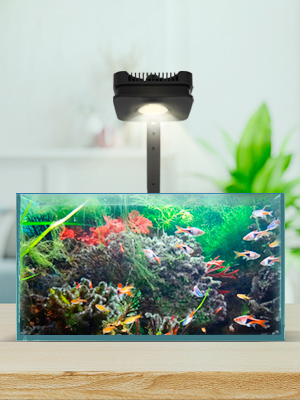 aquarium led light