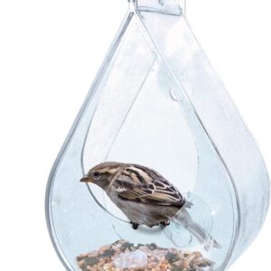 Wildlife World Dewdrop Clear Window Bird Feeder with Feeding Tray