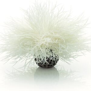 biOrb Aquarium Sea Lily White