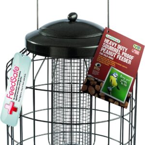 Gardman A01821 Heavy Duty Squirrel Safe Peanut Feeder