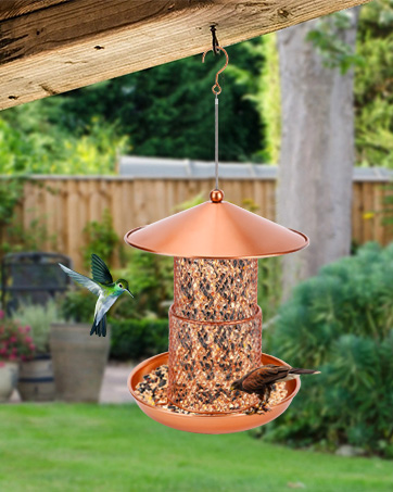 bird feeders hanging