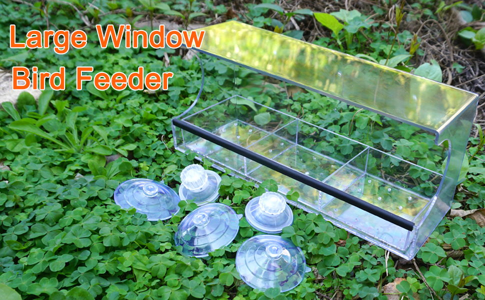 B091F41JC7 Bird Feeder 01