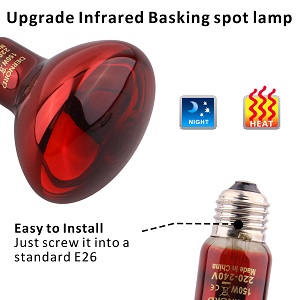 Basking lamp