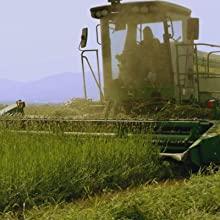 Small Pet Select, Natural Hay, Tractor