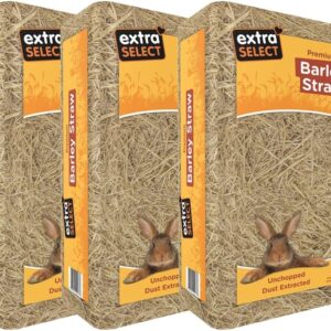 Extra Select Barley Straw Bedding - Soft Animal Bedding for Rabbit, Tortoise, and More - 2 kg (Pack of 3)