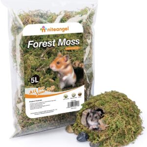 Niteangel 5L Forest Moss Soft Natural Moss Bedding Nesting for Dwarf Syrian Hamsters, Gerbils, mices, Degus or Other Small Animal