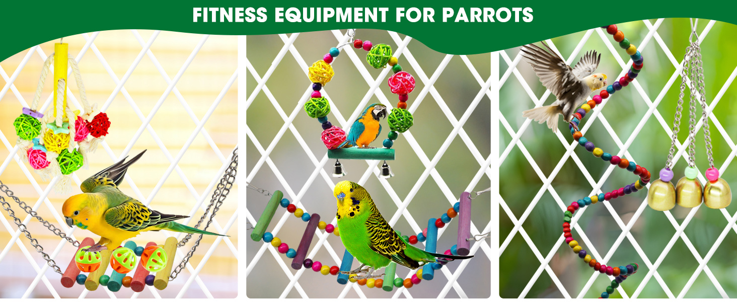 african grey parrot amazon parrot parakeet macaw parrot toys chewing and foraging toys