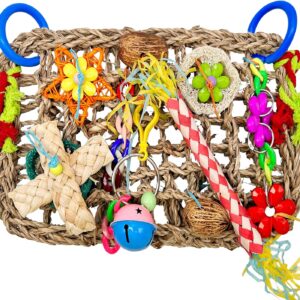 Parrot Toys BudgieToys and Accessories, Bird Toys Foraging Wall with Various Colorful Cockatiel Chewing Toys, Edible Seagrass Woven Climbing Hammock Mat for African Grey Parakeets Conures Lovebirds